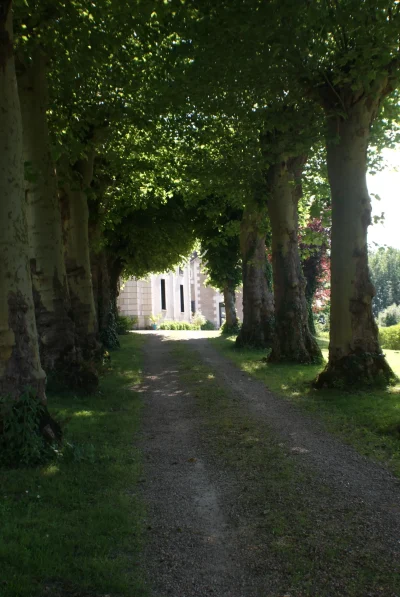 Le-Chateau-de-la-Barre-8211-Mosnes_1692892