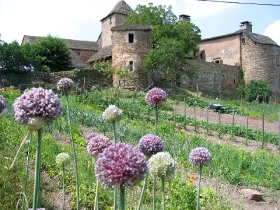 Le-Chateau-du-Cayla-8211-Moyrazes_2239939