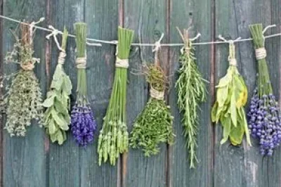Le-Chaudron-aux-Bonnes-Herbes-8211-Vezins-de-Levezou_2243977