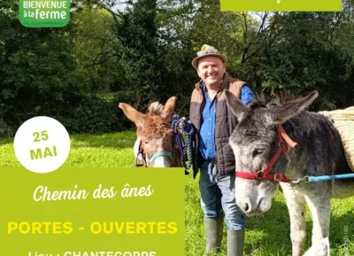 Le-Chemin-des-anes-8211-Printemps-a-la-ferme-8211-25-05-2025-8211-Les-Chateliers_2672560
