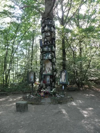 Le-Chene-a-la-Vierge_565255