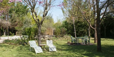 Le-Clos-des-Olivettes-8211-Azur-8211-Sainte-Croix-de-Quintillargues_3677966