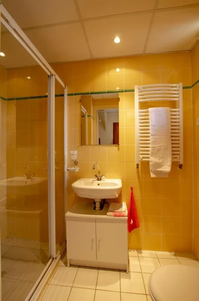 Le-Domaine-de-la-Tuilerie-8211-Saint-Parres-aux-Tertres_1727631