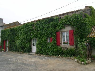 Le-Fournil_99099