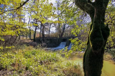 Le-Frechou-le-pays-des-frenes_1026463