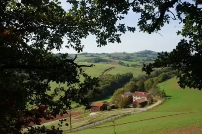 Le-Hameau-des-Gites-du-Brugas-8211-Saint-Juery_2263537