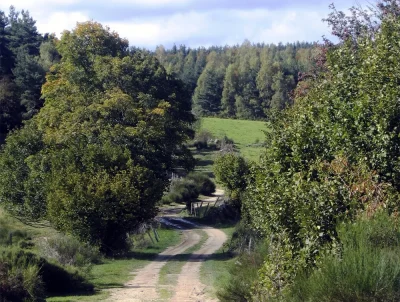Le-Huit-de-Saint-Symphorien-8211-Trail-n°62-8211-Bel-Air-Val-d039Ance_3739277