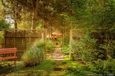 Le-Jardin-de-Mireille-en-Touraine-Angevine_442885