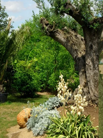 Le-Jardin-des-4-saisons-8211-Bazoches-les-Gallerandes_2265672