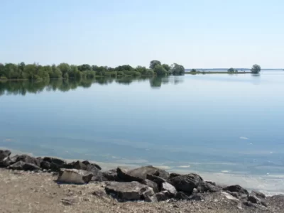 Le-Lac-du-Der_674374