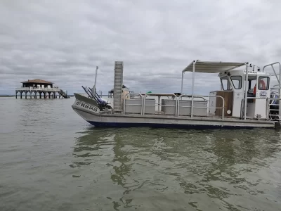 Le-Male-de-Mer_1134439