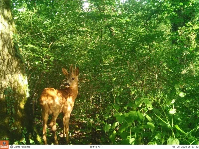 Le-Marais-de-Bonnefont-en-automne-plantes-et-animaux-en-hiver-et-Landart-8211-29-11-2025-8211-Mayrinhac-Lentour_3130599