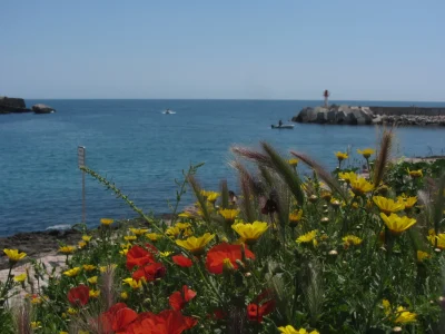 Le-Marin-Surf-Shop-8211-Martigues_2412650