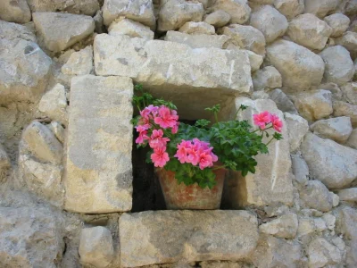 Le-Mas-Saint-Roman-8211-La-pichoulino-8211-Maussane-les-Alpilles_2430462