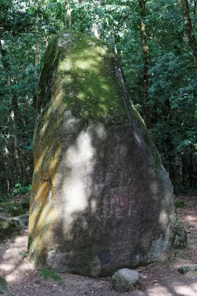 Le-Menhir-de-Guihallon_565912