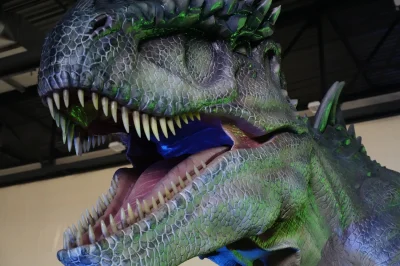 Le-Musee-Ephemere®-des-dinosaures-8211-Tour-2025-8211-20-09-2025-8211-Troyes_2721623