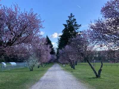 Le-PR®-des-Bords-du-Loiret-8211-Olivet_3755526