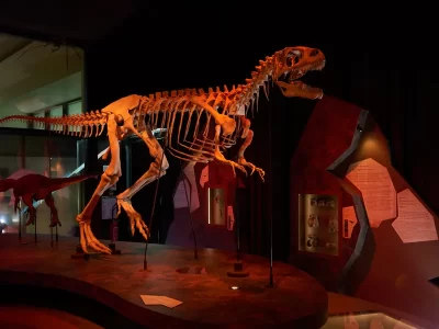 Le-Paleospace-8211-Musee-de-France_556931