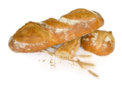 Le-Patissier-Gascon-8211-Aire-sur-l039Adour_3509901