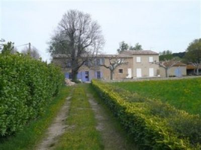 Le-Petit-Lys_173031