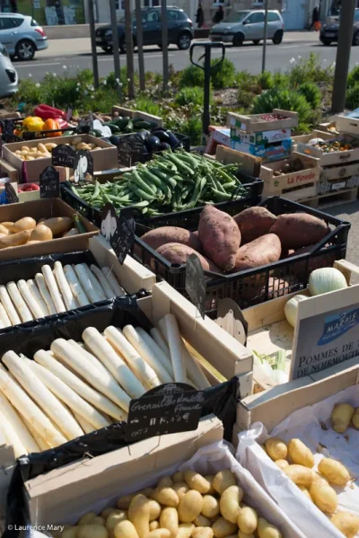 Le-Petit-marche-a-Saint-Firmin-des-Pres-8211-01-01-2025-8211-Saint-Firmin-des-Pres_2370402