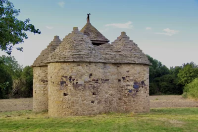 Le-Pigeonnier-de-Vaujoyeux_563068