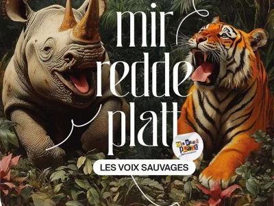 Le-Platt-et-l039Alsacien-8211-des-origines-a-la-necessaire-adaptation-de-nos-dialectes-8211-03-06-2025-8211-Sarreguemines_2377680