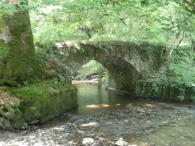 Le-Pont-gallo-romain-et-laqueduc-du-Bois-Ferrut-a-Linard_496543
