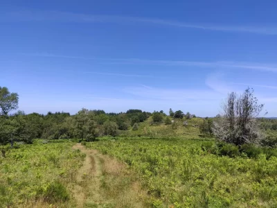 Le-Puy-de-la-Besse-site-des-roches-brunageres_997727