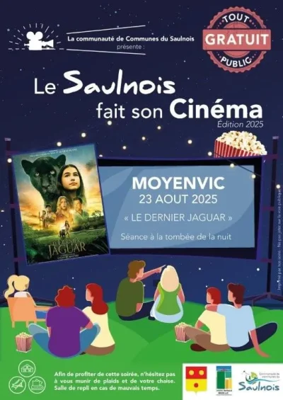 Le-Saulnois-fait-son-cinema-8211-Moyenvic-8211-23-08-2025-8211-Moyenvic_2887894