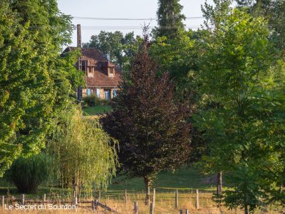 Le-Secret-du-Bourdon_121902