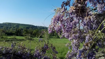 Le-Temps-Serein-8211-Le-Bas-Segala_2248903