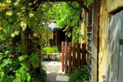 Le-Tournesol_113924