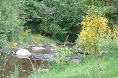 Le-Vieux-Moulin-de-la-Maque-8211-Gite-A_92579