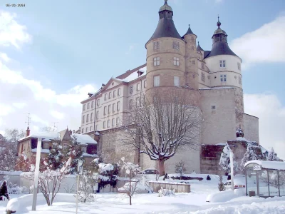 Le-chateau-Montbeliard-Wurtemberg-8211-Montbeliard_1598483