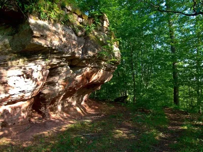 Le-chateau-du-Rothenbourg-8211-Philippsbourg_3864374