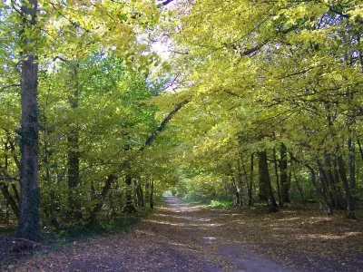 Le-chemin-des-Vallees-8211-Mezieres-lez-Clery_1693357-1