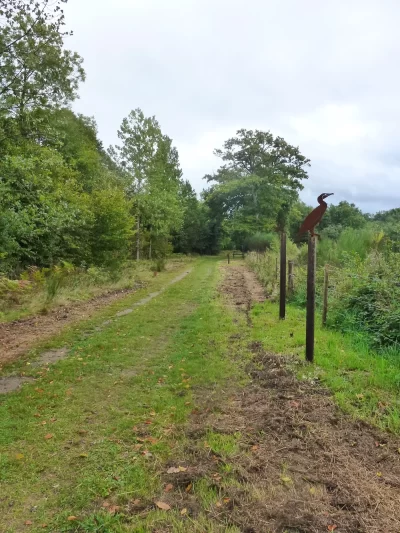 Le-chemin-du-Heron-au-depart-de-Saillat-sur-Vienne_1052746