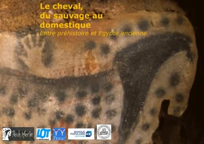 Le-cheval-du-sauvage-au-domestique-8211-06-07-2025-8211-Cabrerets_2717458