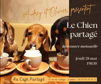 Le-chien-partage-8211-28-05-2026-8211-Loudun_3633093