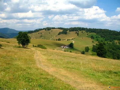 Le-circuit-du-Belacker-et-du-Gsang-VTT-FFC-n°22-8211-Saint-Amarin_2903822