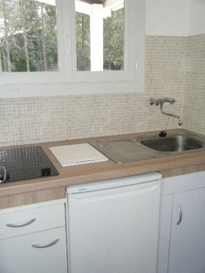 Le-domaine-des-Landes-8211-Les-pins_124342