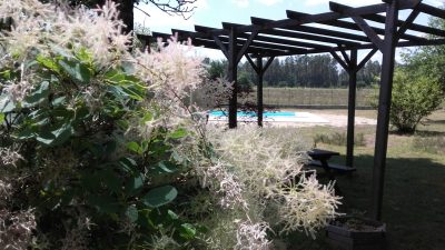 Le-domaine-des-Landes-8211-Ocean-Ouest_92257