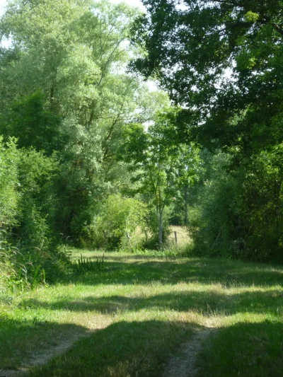 Le-haut-de-la-cote-8211-Ids-Saint-Roch_6131