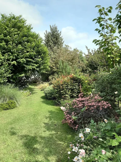 Le-jardin-Marguerite-ouvre-ses-portes-8211-07-06-2025-8211-Linxe_2514590