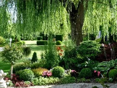 Le-jardin-du-Presbytere_554391