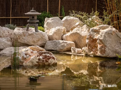 Le-jardin-japonais_665763