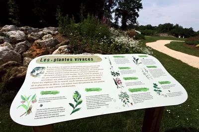 Le-jardin-prehistorique-de-la-grotte-de-Villars_495971