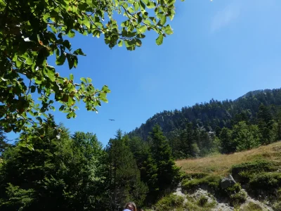Le-lac-et-le-plateau-de-Bious-8211-Laruns_3888894-1