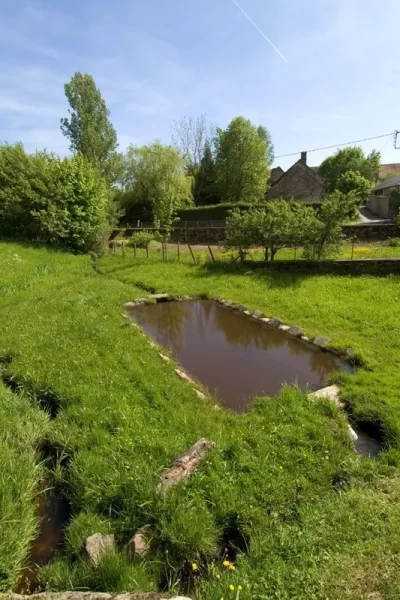 Le-lavoir-des-Planchettes_550861